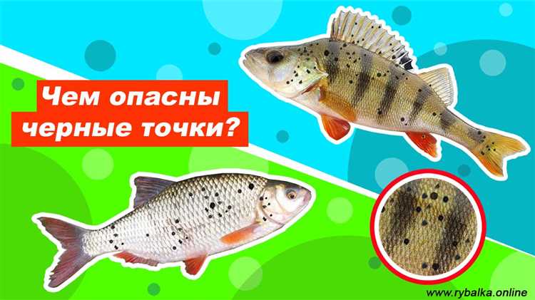 Как называется болезнь от рыбы?