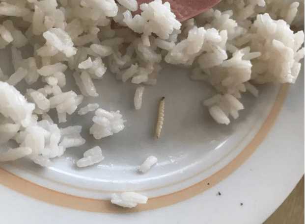 Как очистить рис от червей