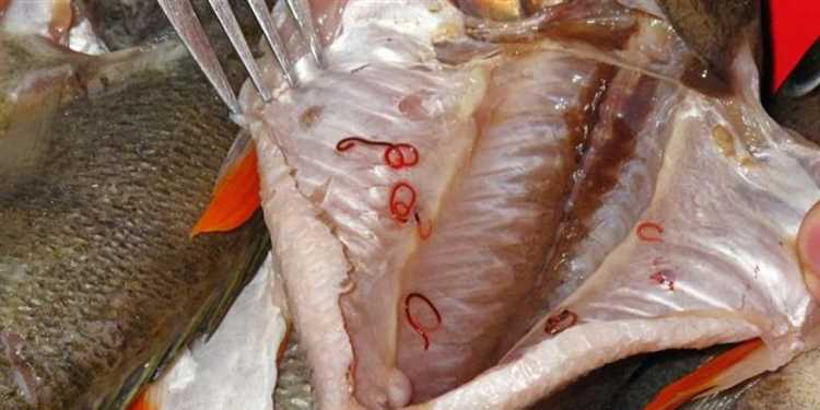 3. Следите за гигиеной при обработке рыбы