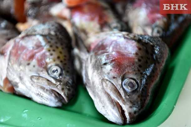 Паразиты в рыбе: насколько опасно?